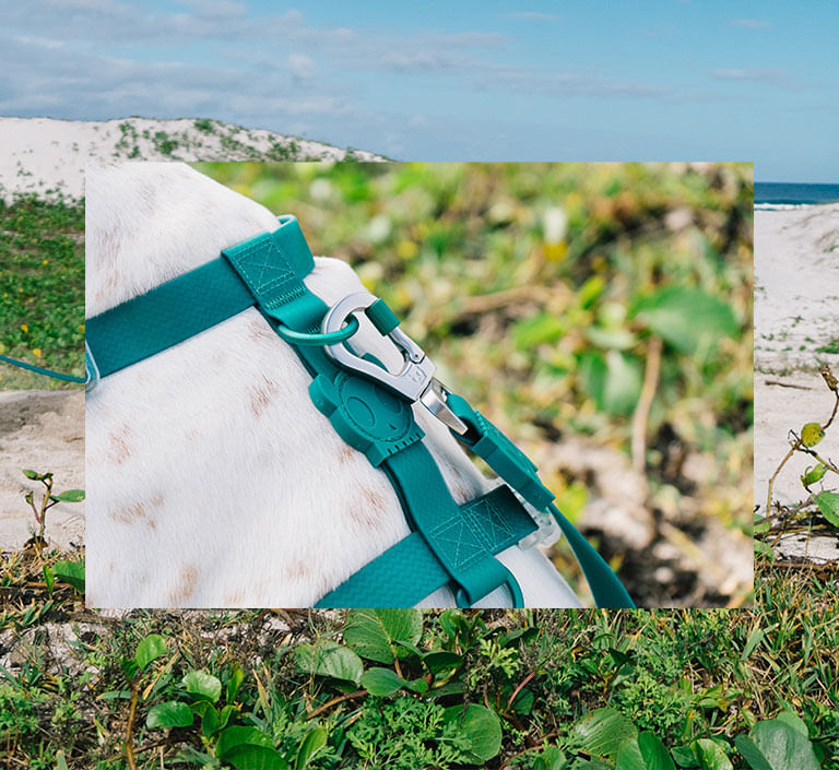 Peitoral para Cachorros H Neopro Amazonia | Lifestyle Images