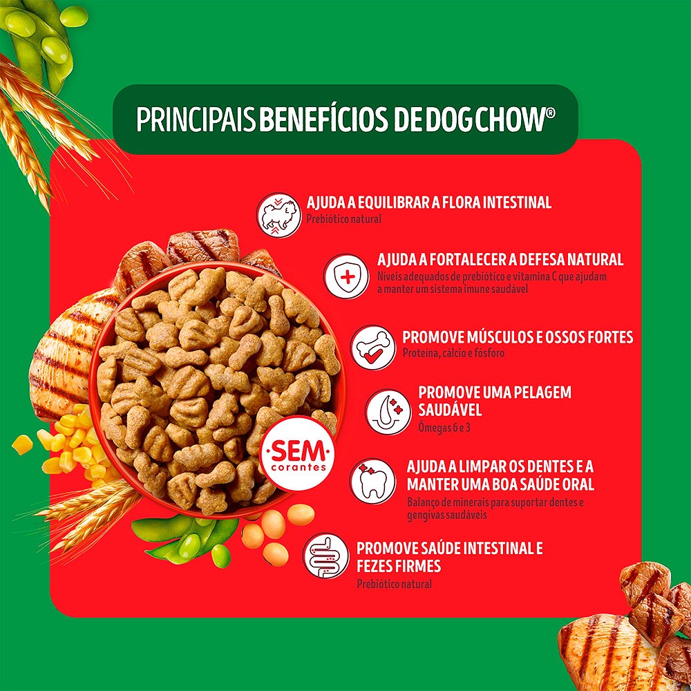 Ração Dog Chow para Cães Adultos de Raças Médias e Grandes Sabor Carne, Frango e Arroz