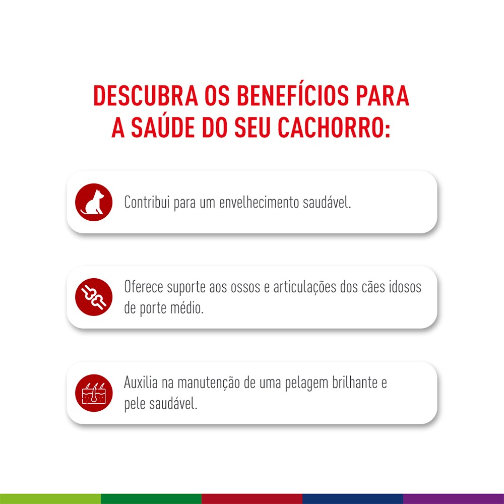 Ração Seca Royal Canin Medium Ageing 10 + para Cães Idosos de Porte Médio com 10 Anos ou mais 