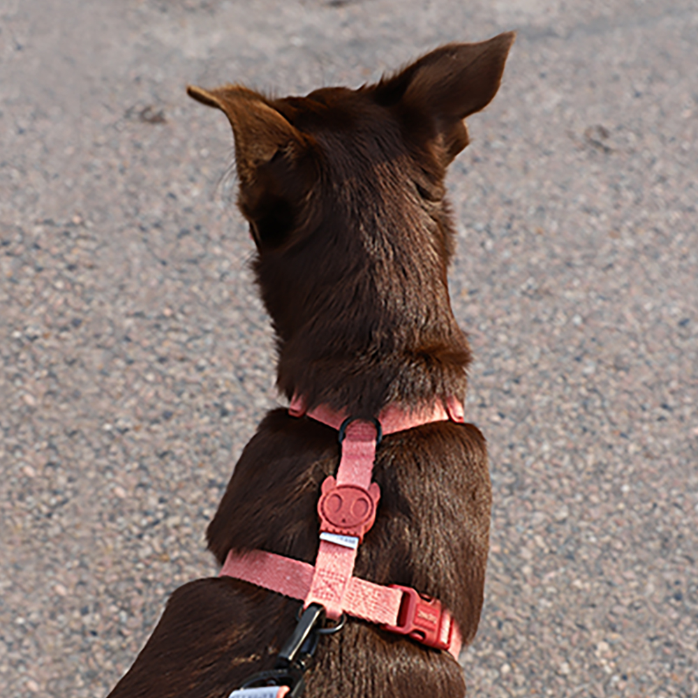 Peitoral para Cachorros H Canyon Naturals 