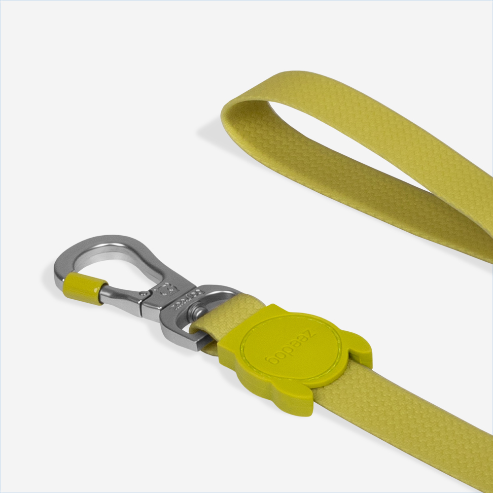 Guia para Cachorros Neopro Matcha | Imagem 3