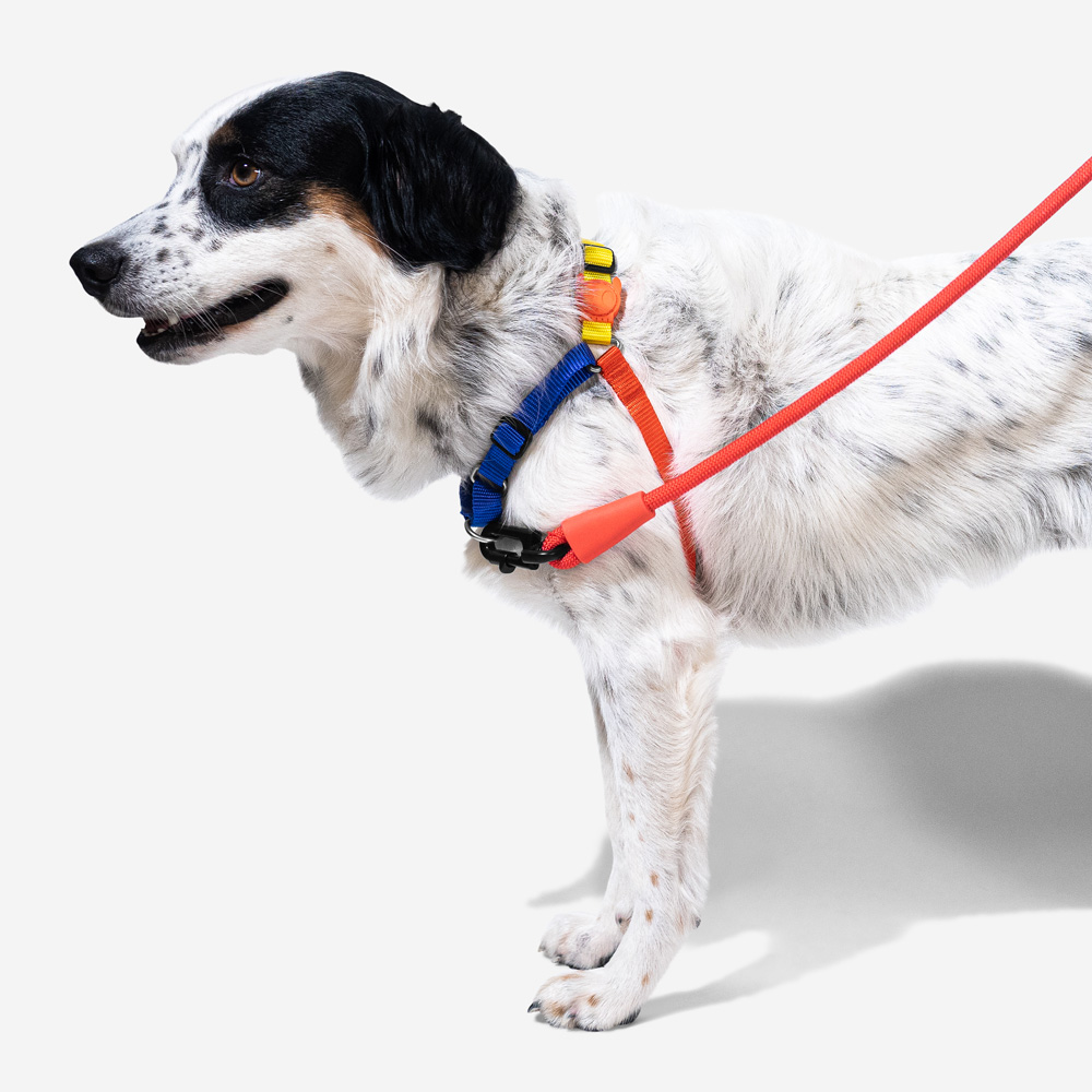 Peitoral para Cachorros Antipuxão Puzzle | Imagem 2