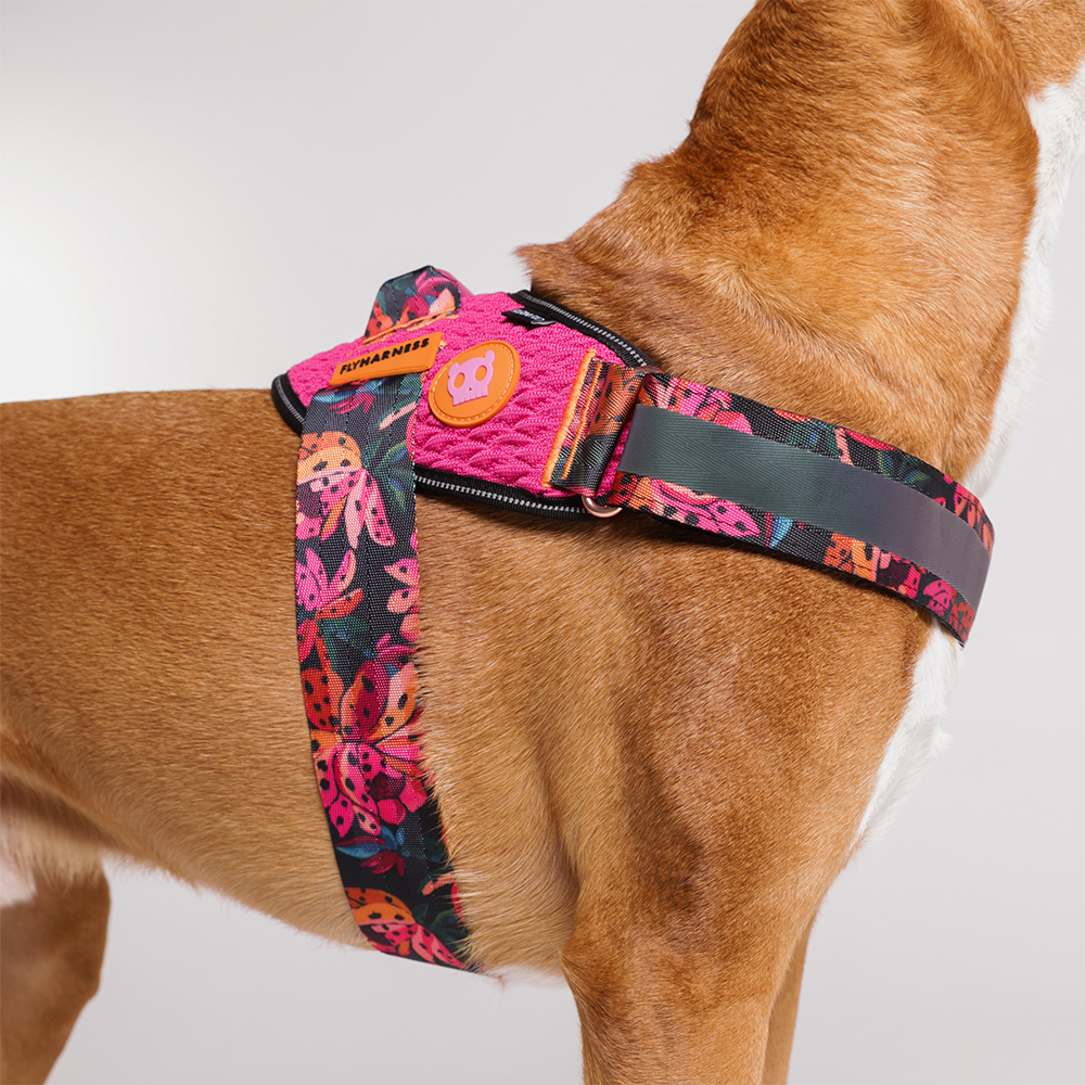 Peitoral para Cachorros FlyHarness FARM Rio Selva | Zee.Dog
