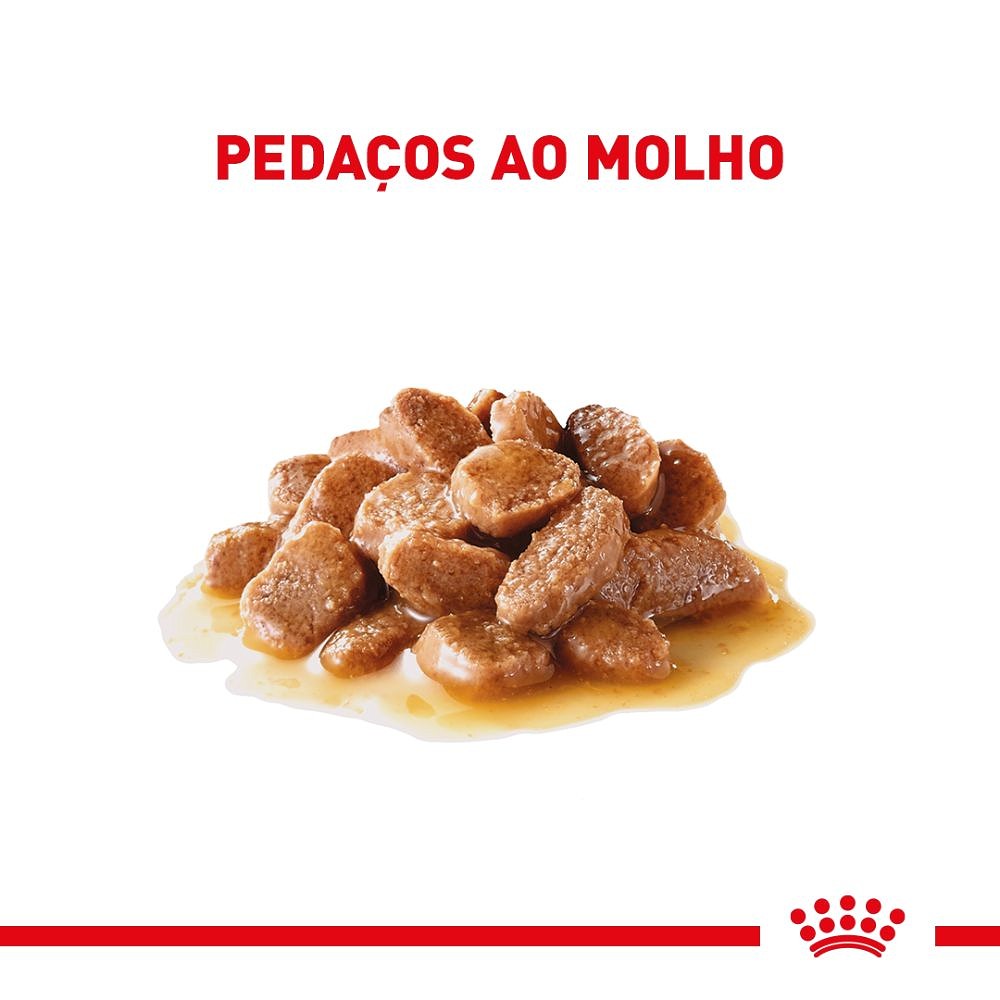 Ração Úmida Royal Canin Ageing 11+ para Gatos Sênior