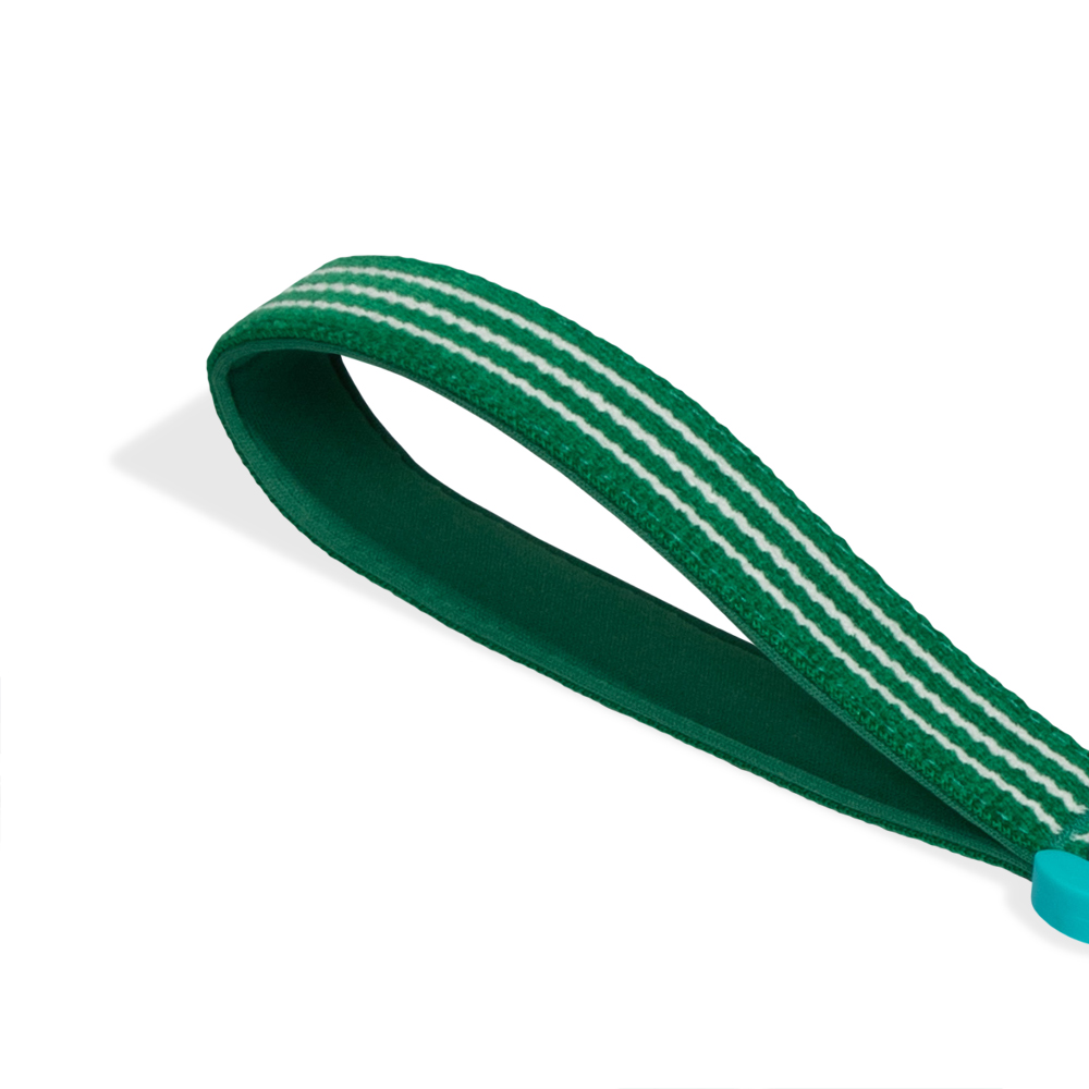 Guia com Amortecedor para Cachorros 2.0  Velvet Vibes Vert
