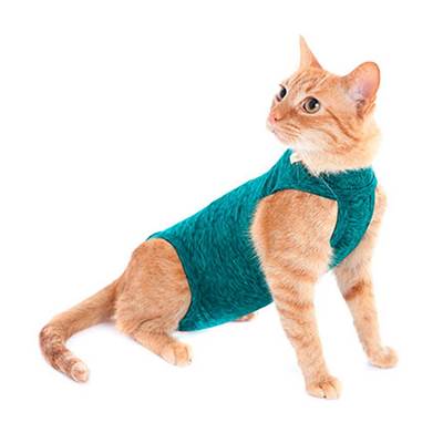 Roupa Cirúrgica Pet Med Para Gatos Duo Dry Verde 3