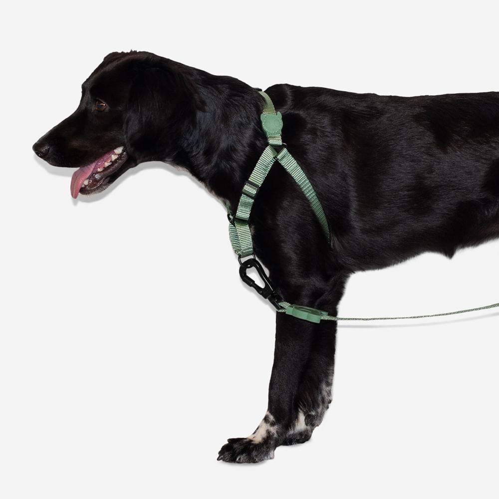 Peitoral para Cachorros Antipuxão Army Green | Imagem 2