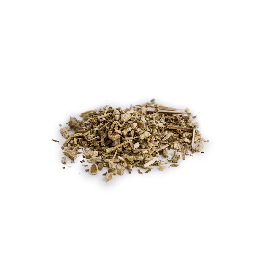 Catnip Cansei de Ser Gato 