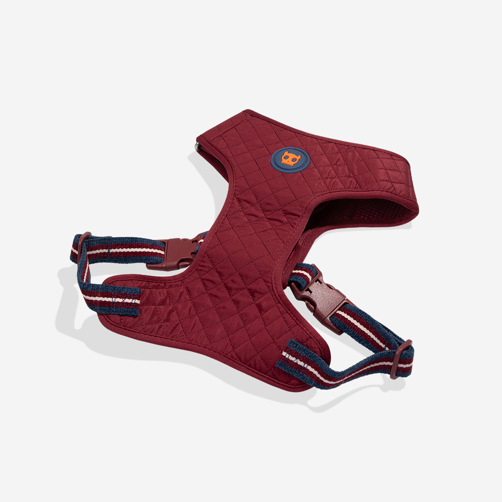 Peitoral para Cachorros Air Mesh Ajustável Velvet Vibes Dropout | Imagem 5