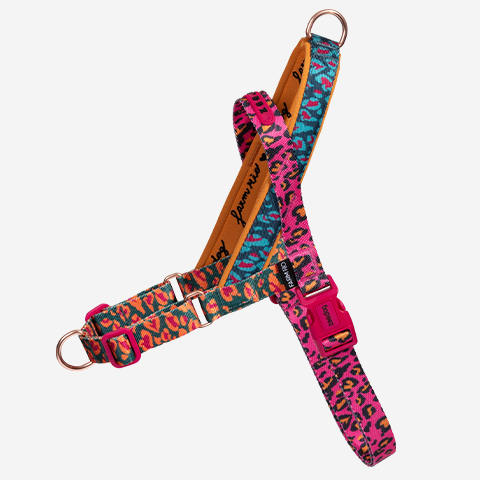 Peitoral Antipuxão SofterWalk para Cachorros FARM Rio Selva | Zee.Dog