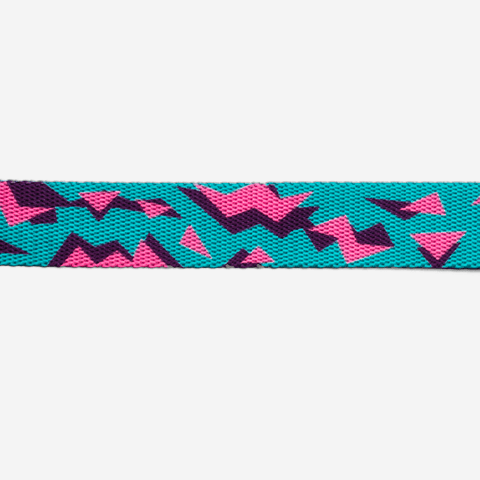 Coleira para cachorros Crosby | Zee.Dog