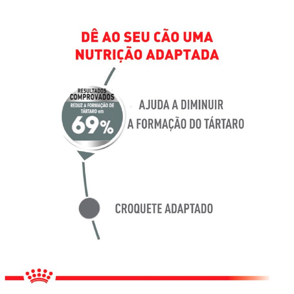 Ração Royal Canin Cuidado Dental Mini para Cães Adultos de Porte Pequeno