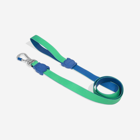 Guia para Cachorros Neopro Apex | Zee.Dog