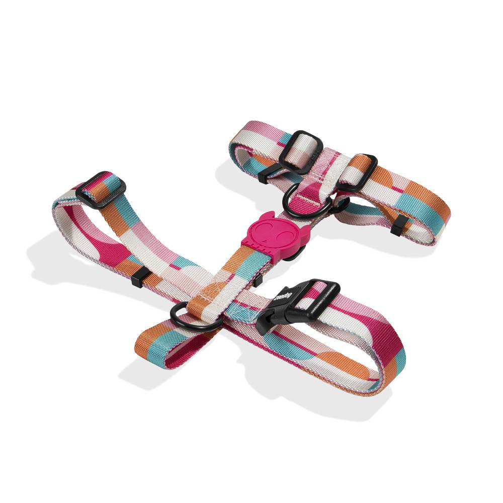 Peitoral H para Cachorros Bloom | Zee.Now