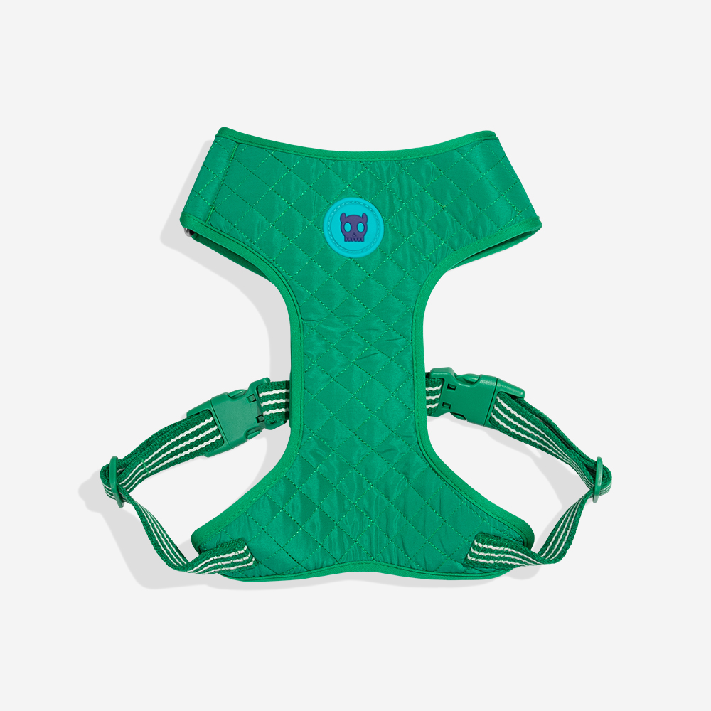 Peitoral para Cachorros Air Mesh Ajustável Velvet Vibes Vert | Imagem 0