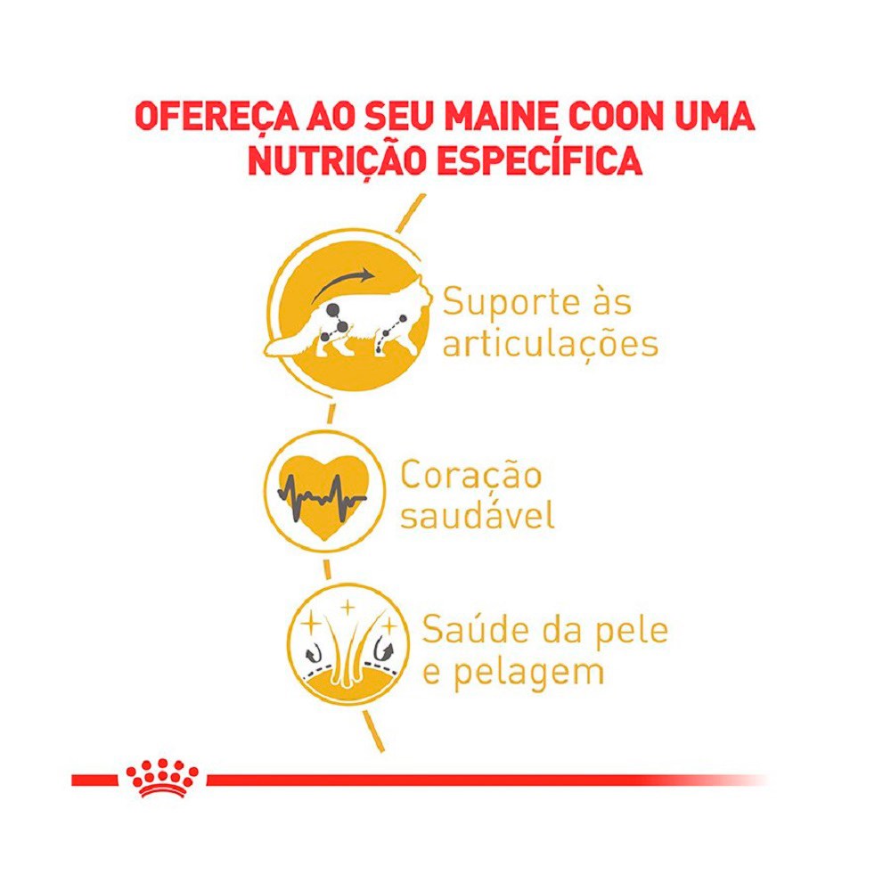 Ração Royal Canin Maine Coon para Gatos Adultos