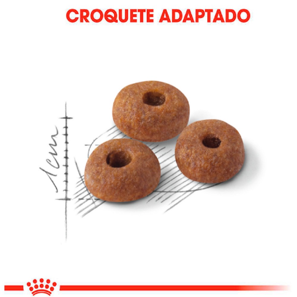 Ração Royal Canin Fit para Gatos Adultos