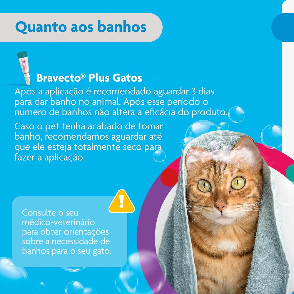 Antipulgas Bravecto Transdermal Plus para Gatos - 1 Pipeta de 250mg