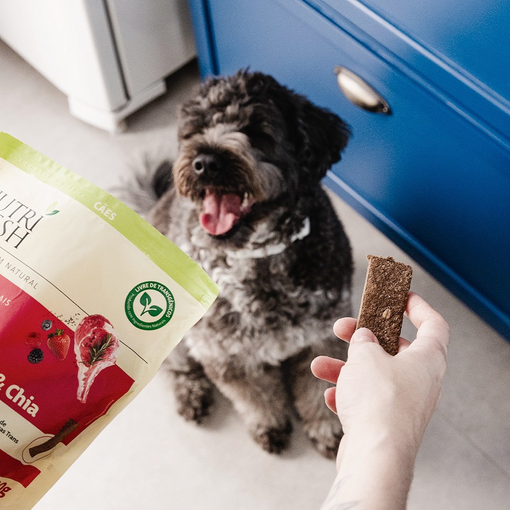 Bifinho Nutrifresh Natural Sabor Cordeiro, Frutas Vermelhas, Aveia e Chia para Cães Adultos