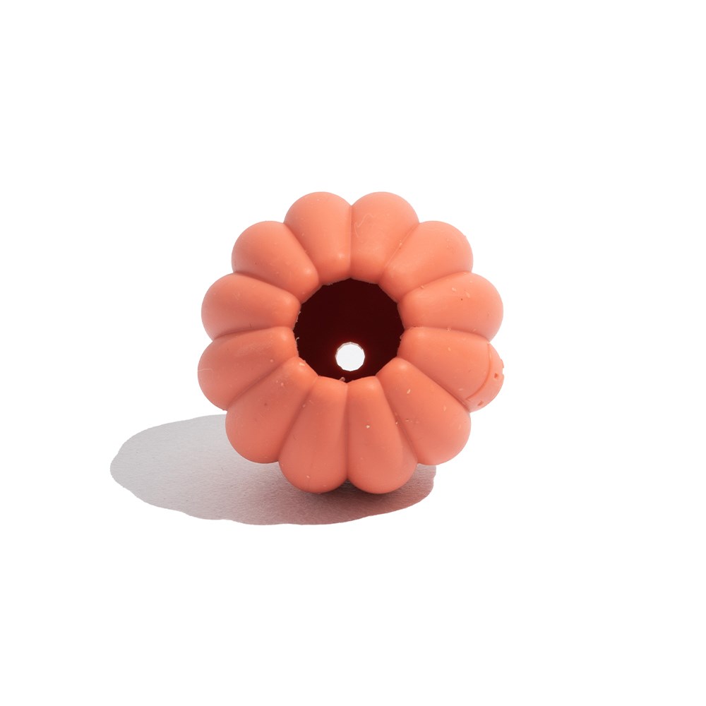 Brinquedo para Cachorros Tangerina Vermelho 