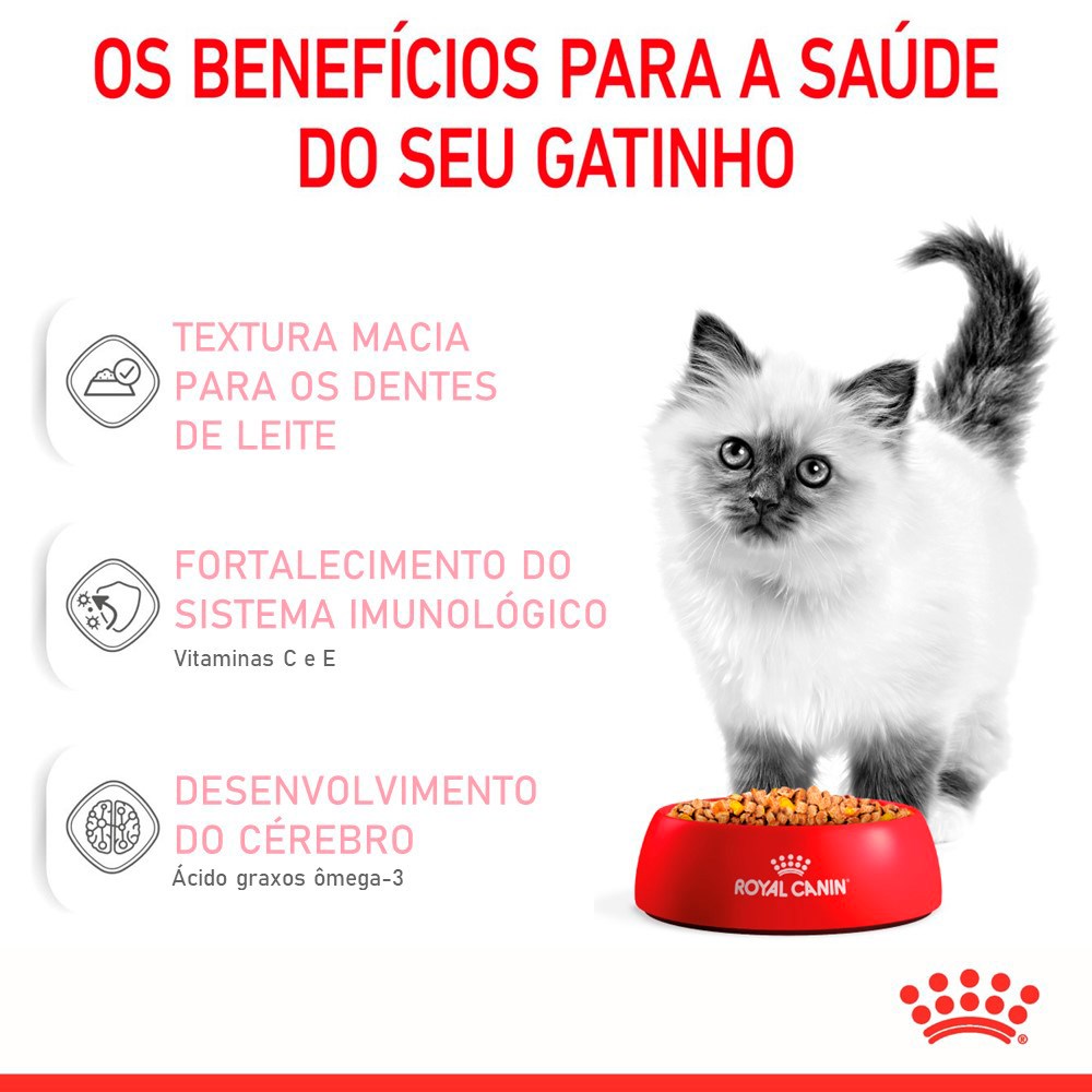 Ração Úmida Royal Canin Kitten Jelly para Gatos Acima de 12 Meses