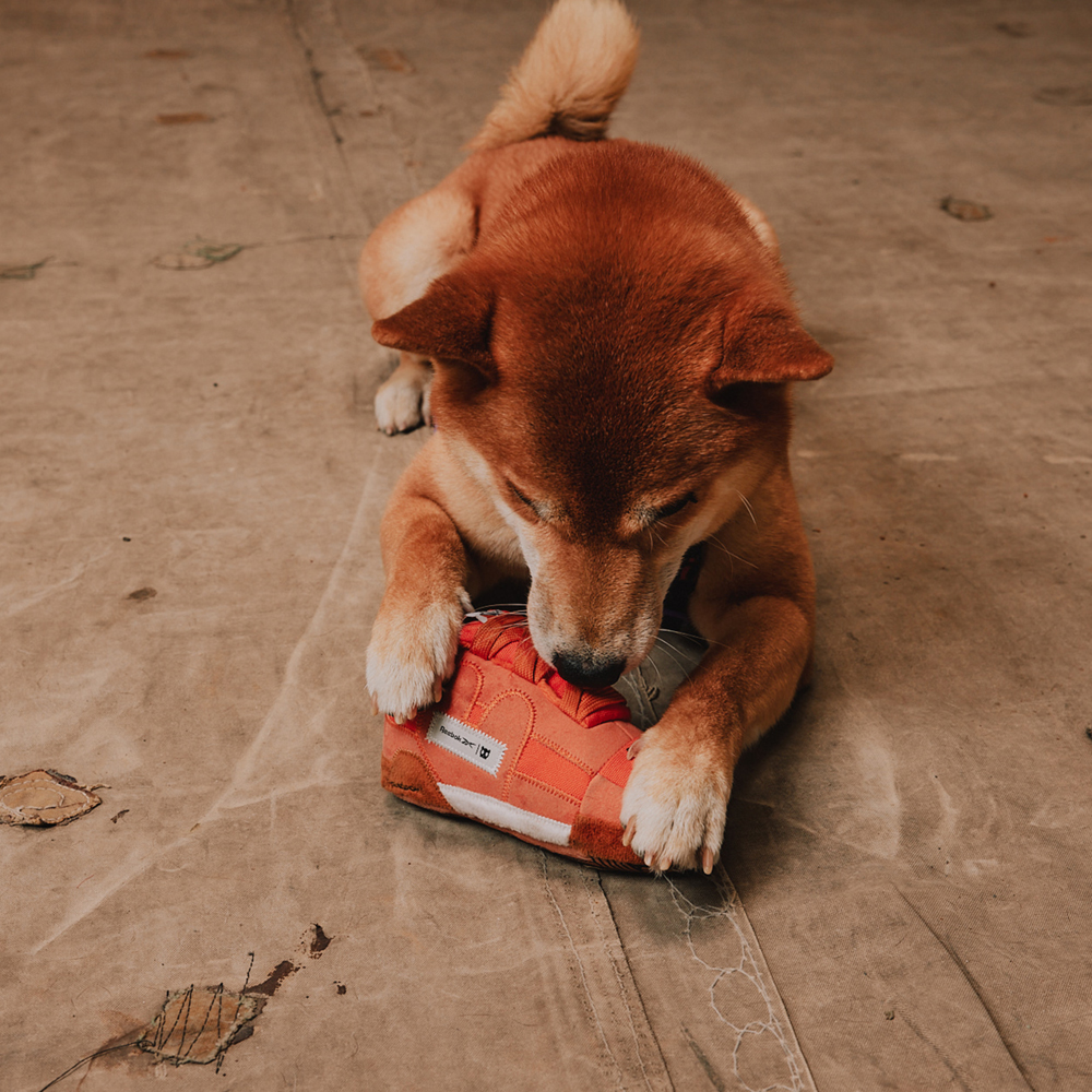 Brinquedo para Cachorros de Pelúcia Reebok Workout Plus