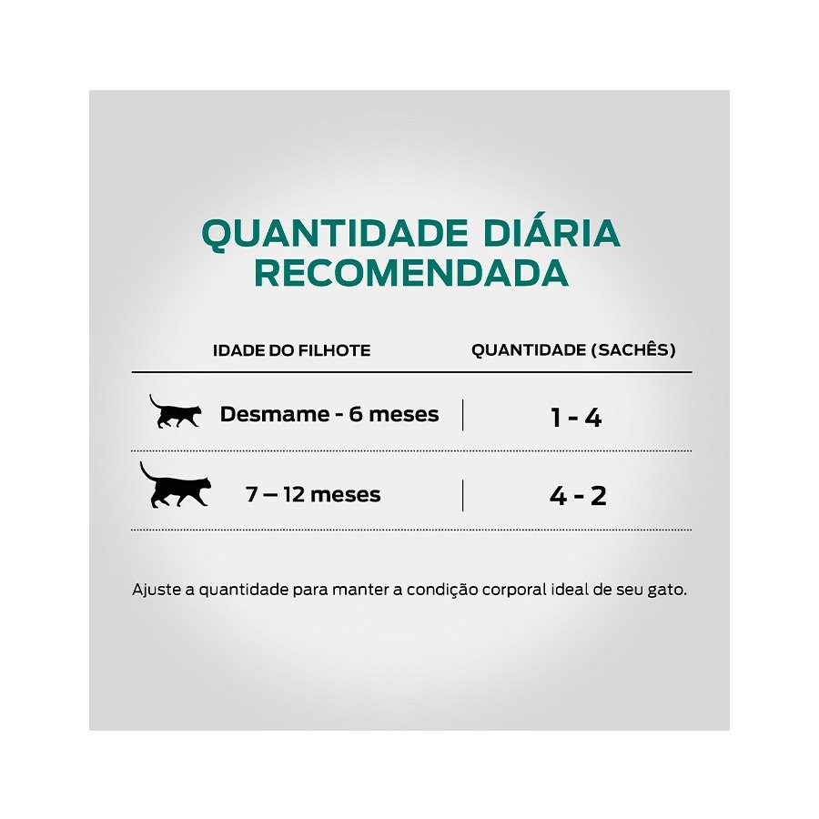Ração Pro Plan Sachê Kitten para Gatos Filhotes sabor Frango ao Molho