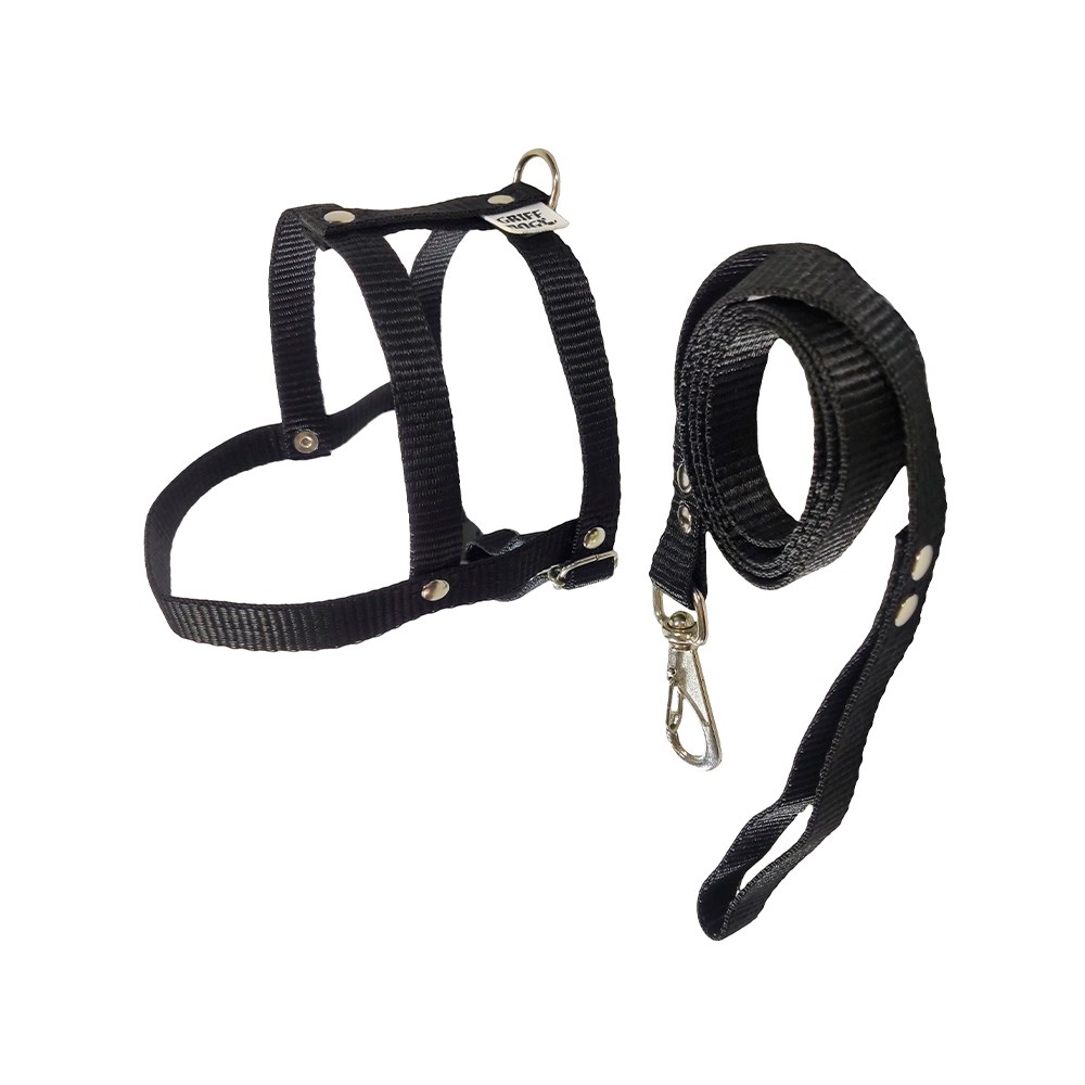 Peitoral com Guia Griff Dog Tradicional Liso para Cães - Cores Sortidas