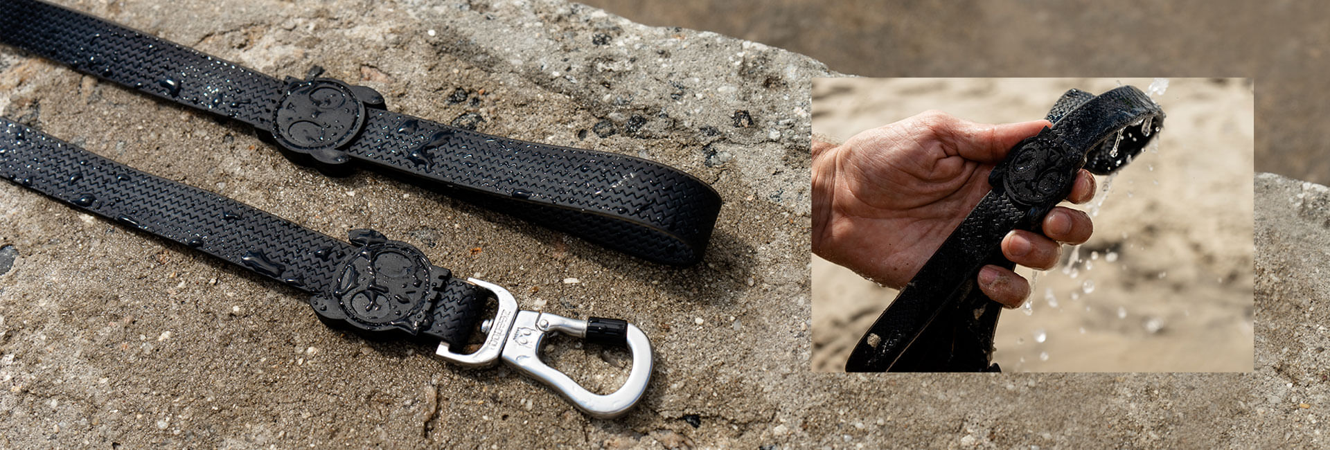 Coleira para Cachorros Neopro Preto | Lifestyle Images