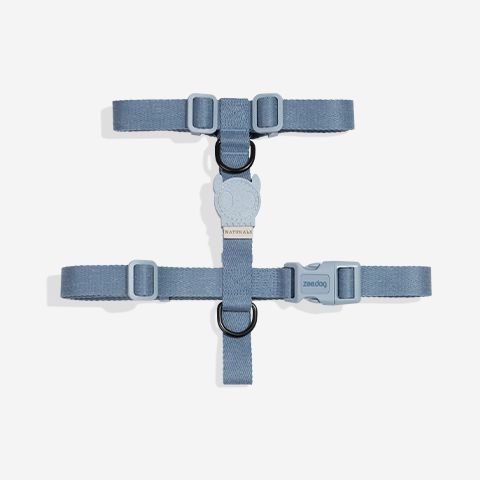 Peitoral para Cachorros H Naturals Marine | Zee.Dog