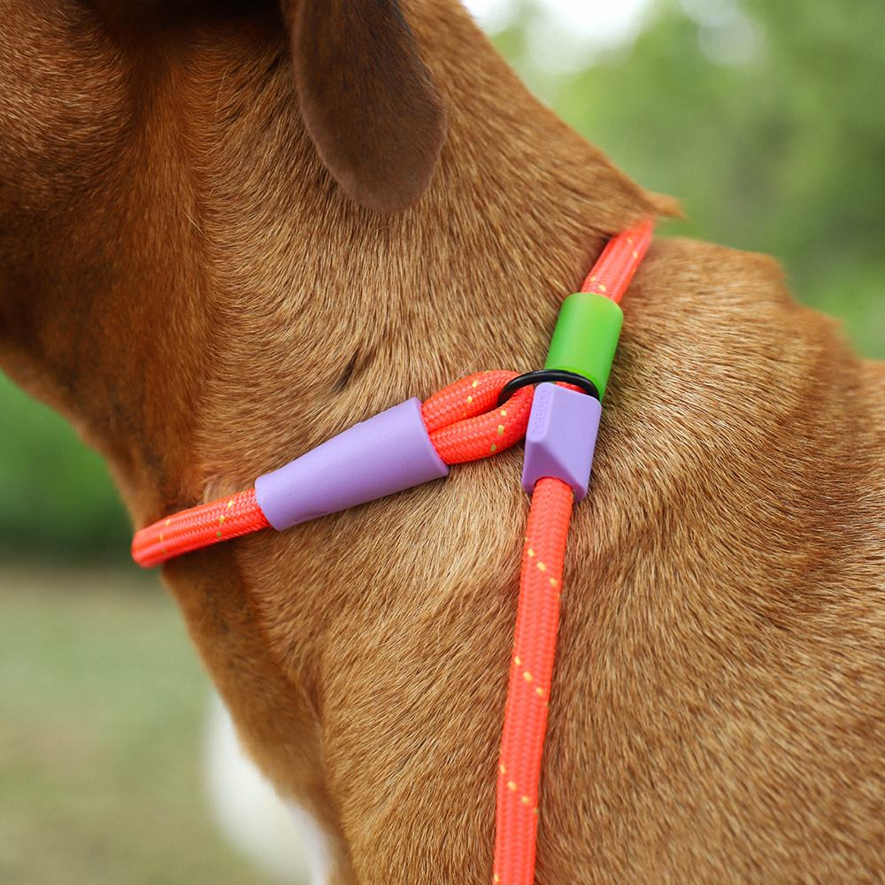 Guia Unificada Slip-n-Lock para Cachorros Everest | Imagem 1