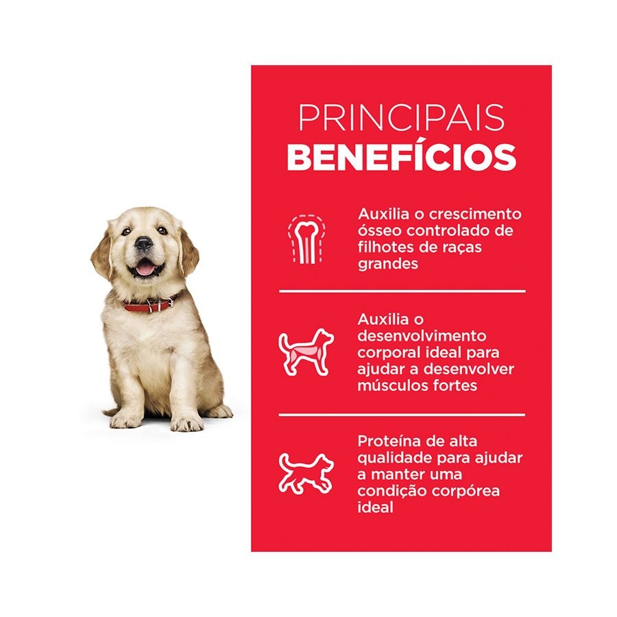 Ração Hill's Science Diet para Cães Filhotes Raças Grandes