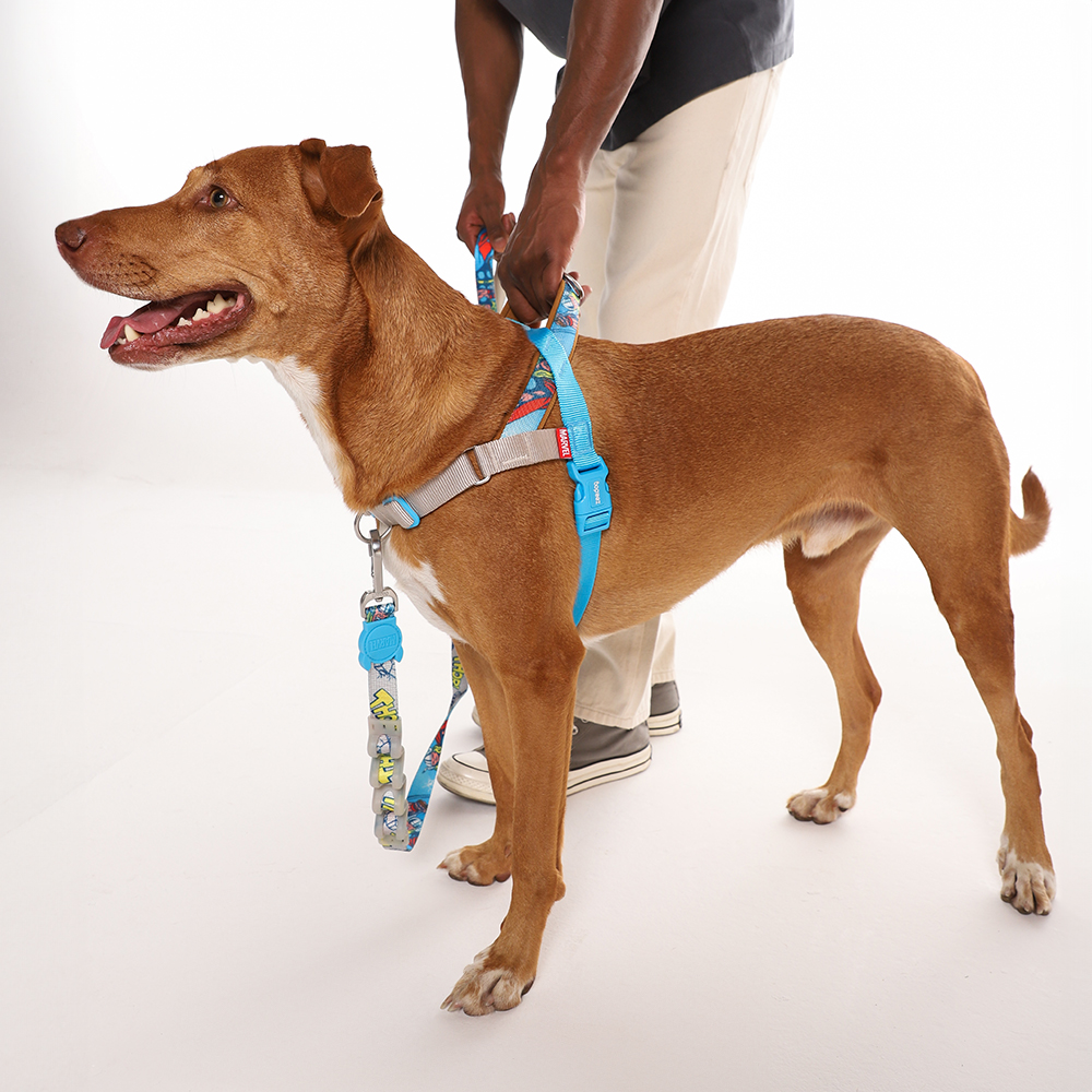 Peitoral Antipuxão SofterWalk para Cachorros Marvel Thor | Imagem 3