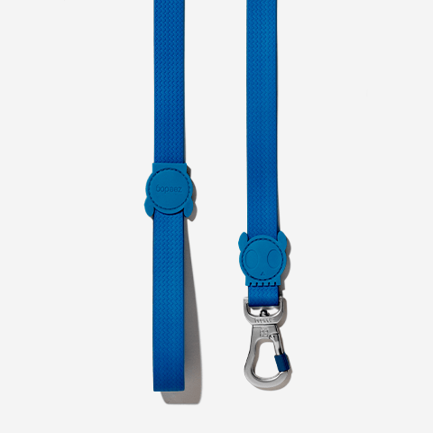 Guia para Cachorros Neopro Azul | Zee.Dog