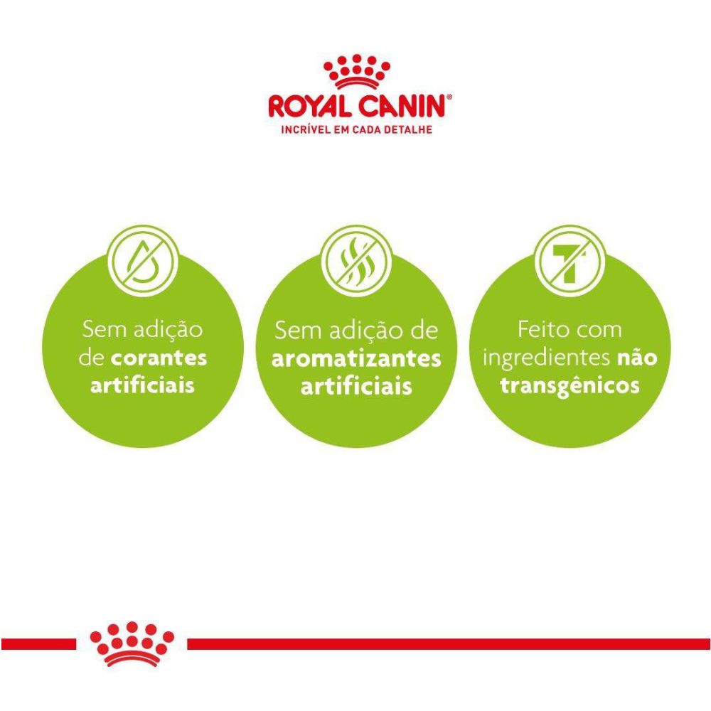 Ração Royal Canin Kitten Persian para Gatos Filhotes Raça Persa
