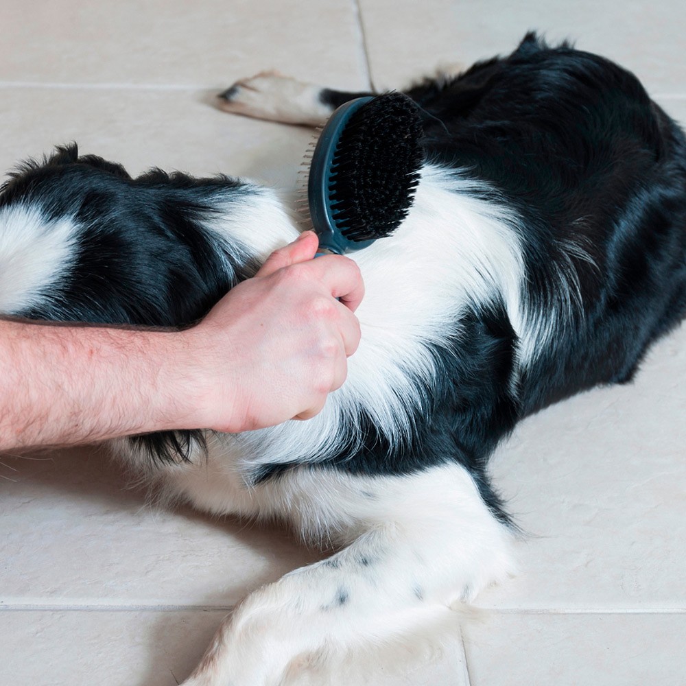 Escova Gel para Cães e Gatos Germanhart Dupla