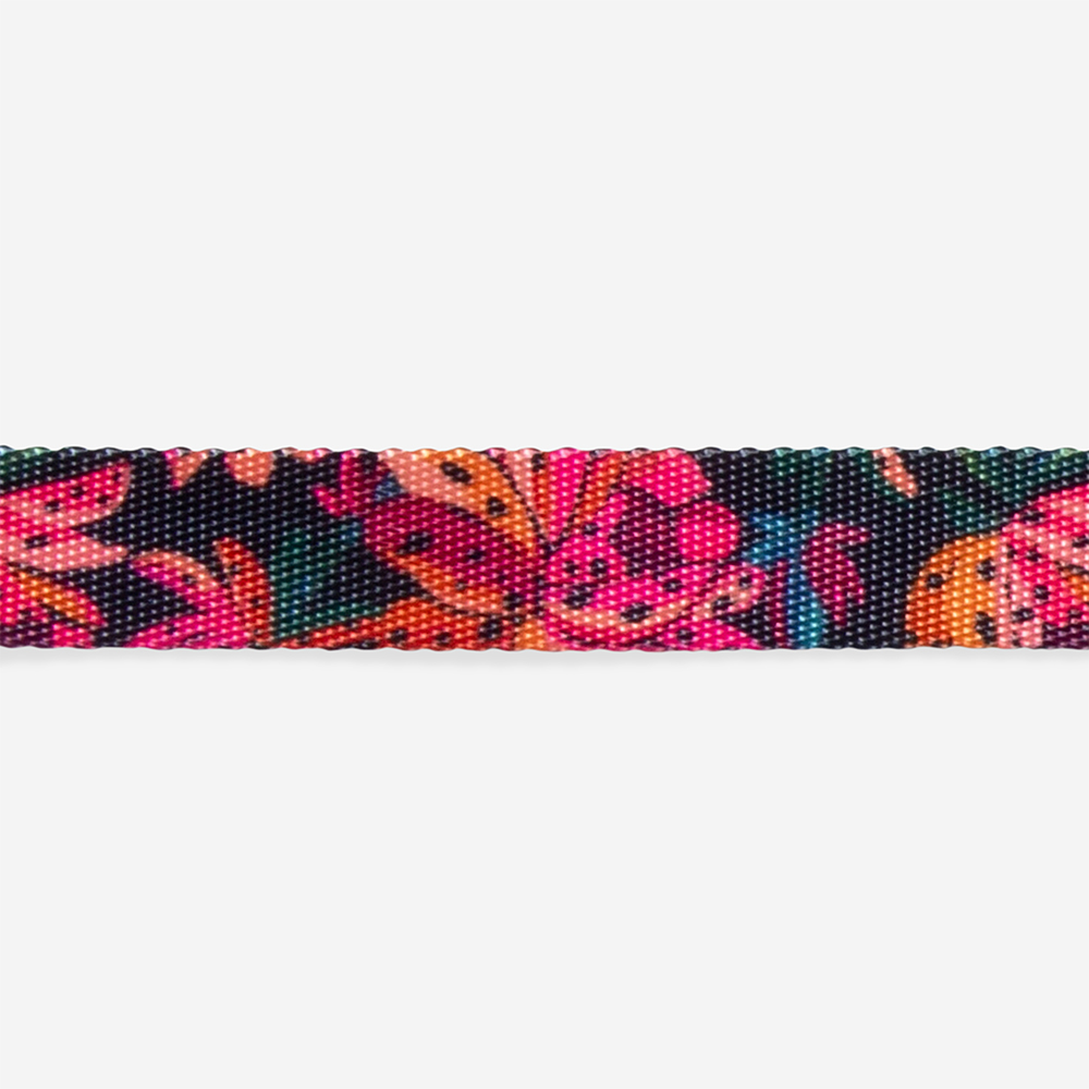 Coleira para Cachorros FARM Rio Selva | Imagem 3