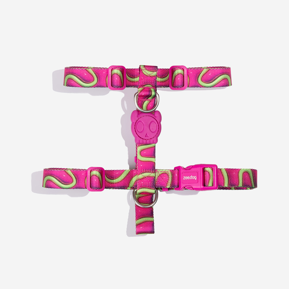 Peitoral para Cachorros H H3D Jelly | Imagem 0