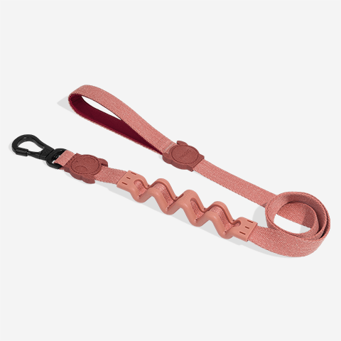 Guia com Amortecedor para Cachorros 2.0 Naturals Canyon | Zee.Dog