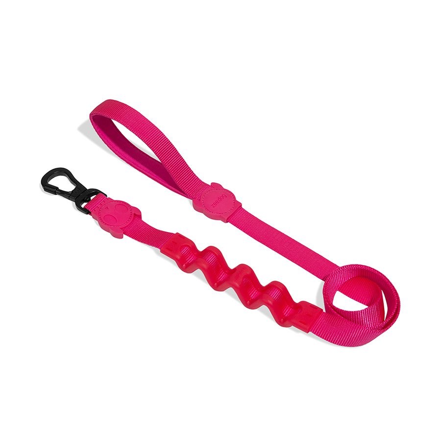 Guia Com Amortecedor para Cachorros Pink Led