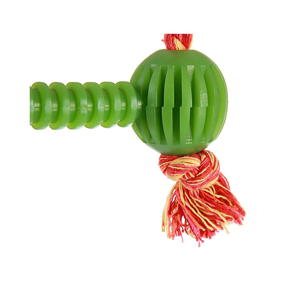 Brinquedo Art Injet Halteres Vazado com Corda para Cães - Cores Sortidas