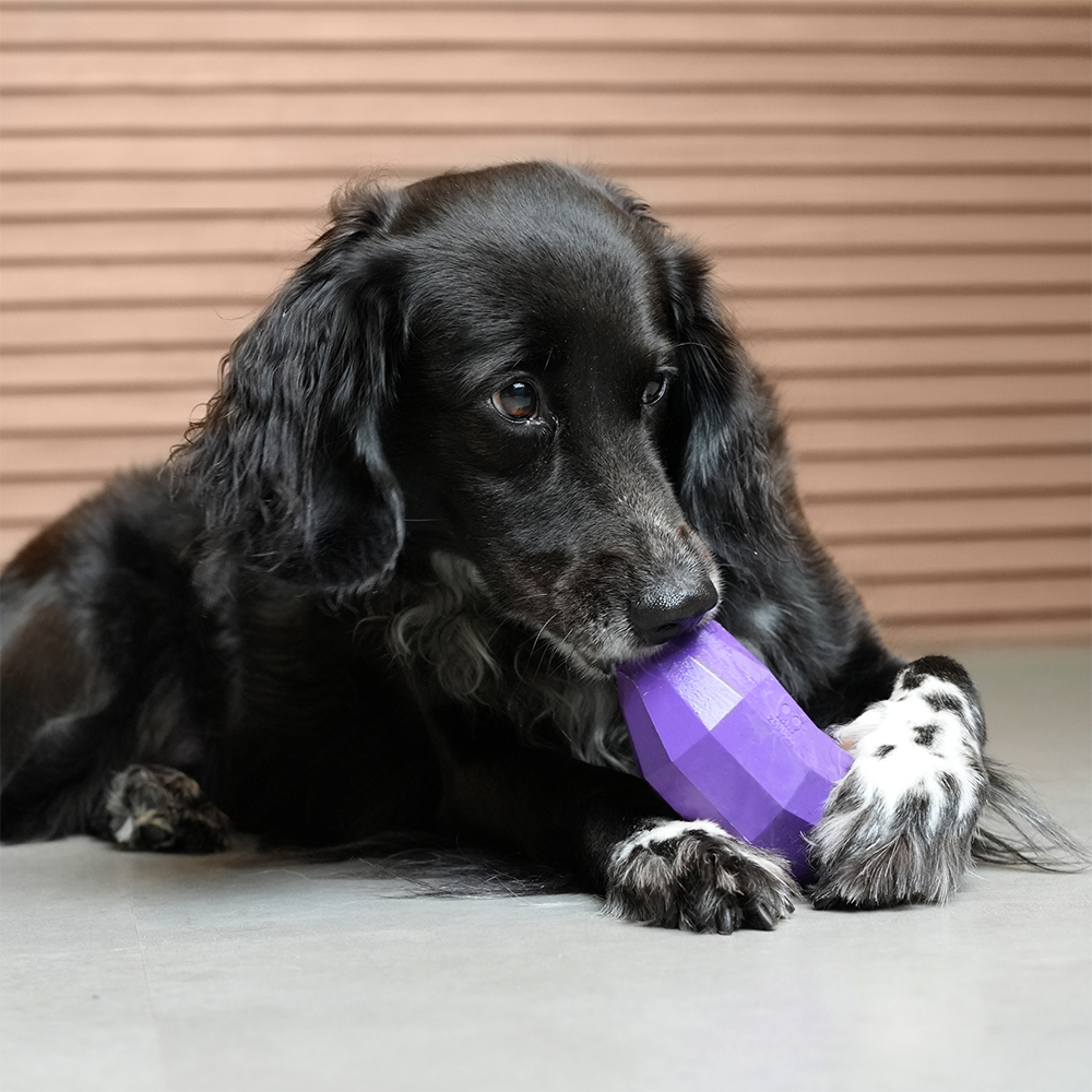 Brinquedo para Cachorros Super Veggiez Berinjela
