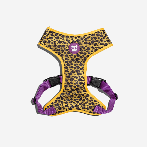 Peitoral para Cachorros Air Mesh Ajustável Honey PP
