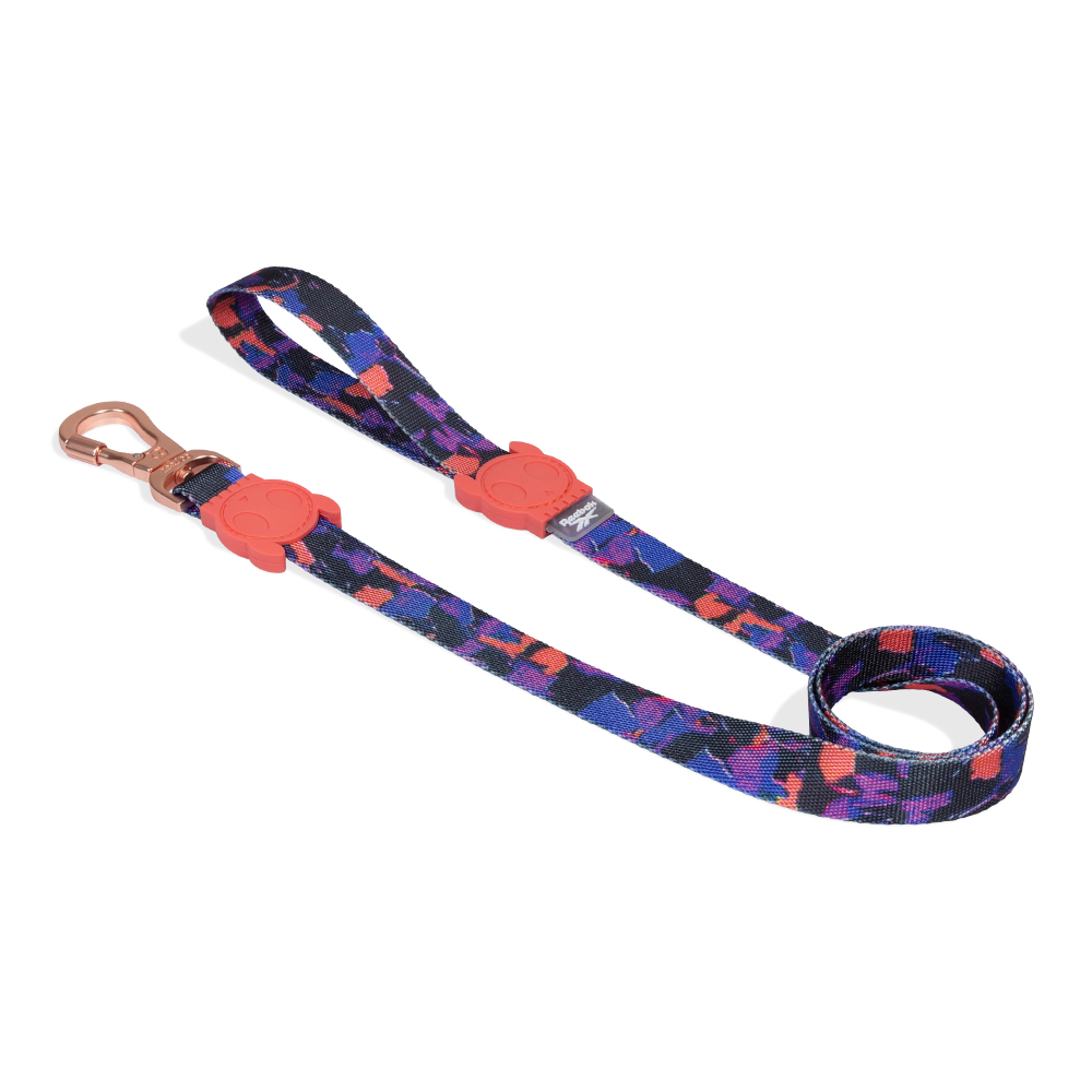Guia para Cachorros Reebok Court