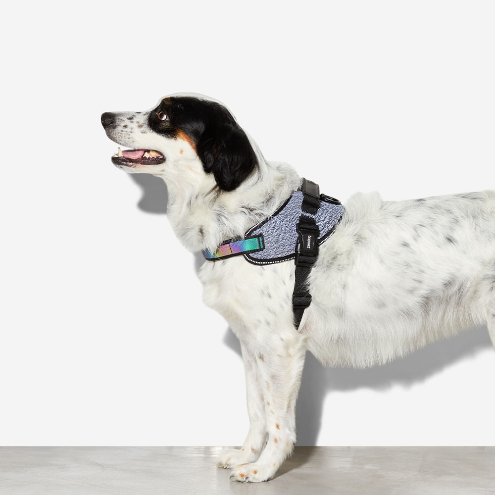 Peitoral para Cachorros FlyHarness Urban | Imagem 5