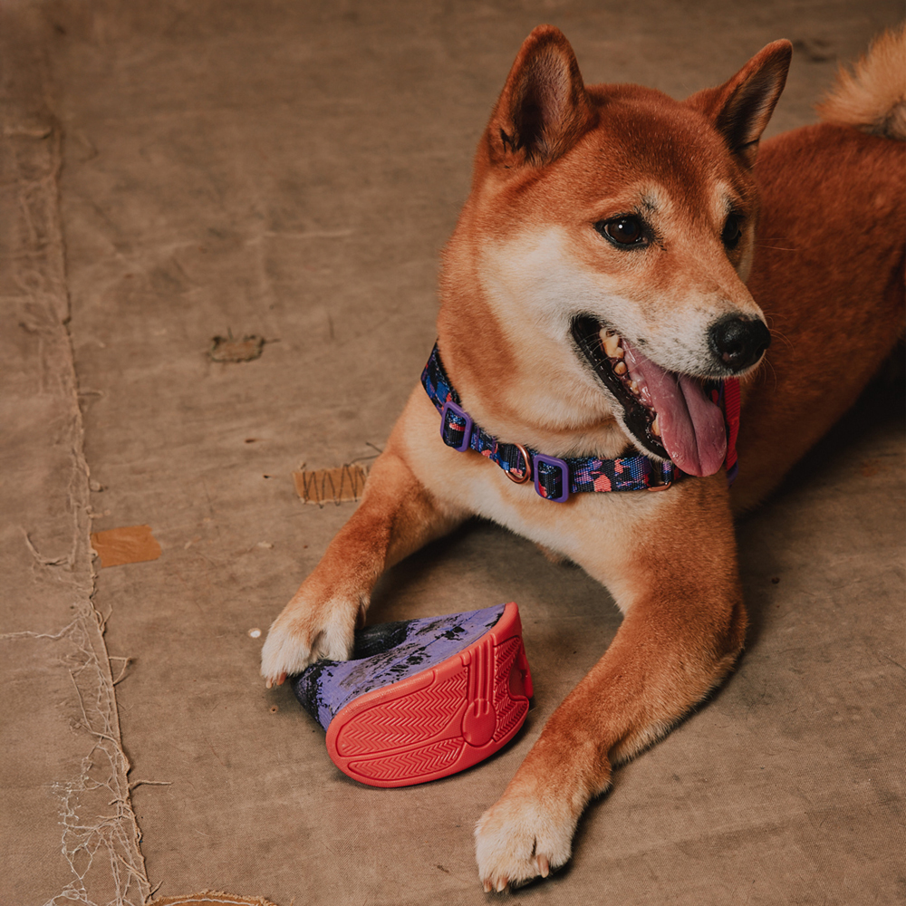 Brinquedo para Cachorros Reebok Rocking Tug
