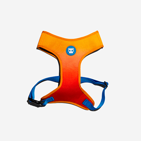 Peitoral para Cachorros Air Mesh Solaris | Zee.Dog