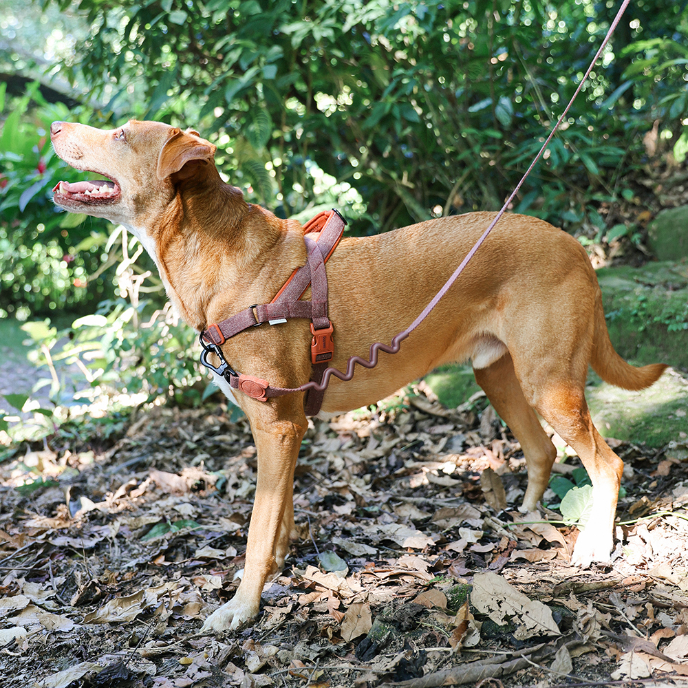 Peitoral Antipuxão SofterWalk para Cachorros Naturals Cocoa | Zee
