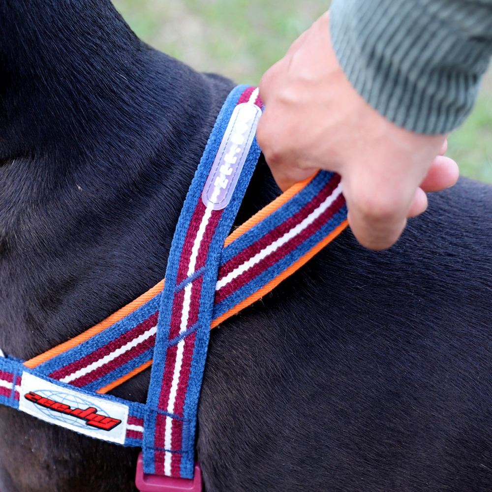 Peitoral Antipuxão SofterWalk para Cachorros Velvet Vibes Dropout