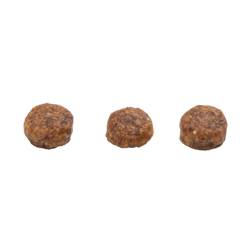 Ração GranPlus Menu para Cães Filhotes de Porte Mini Sabor Frango e Arroz